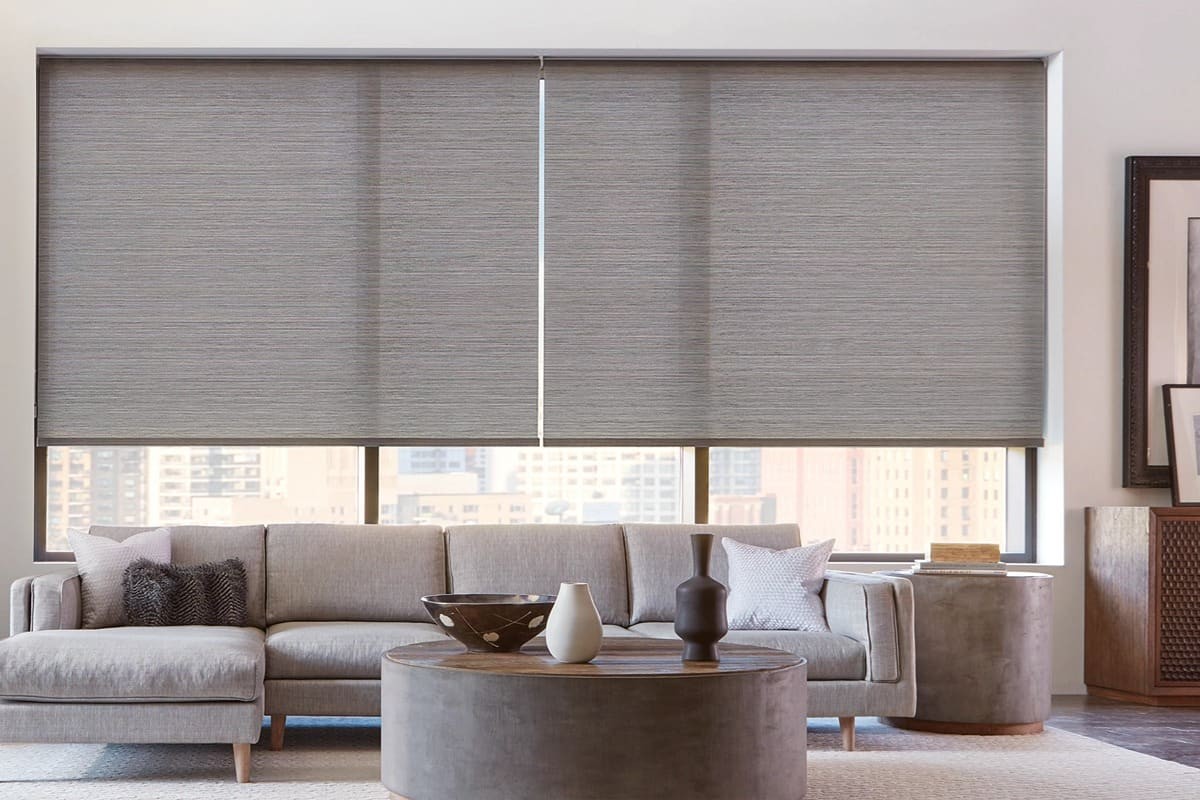 Hunter Douglas Designer Roller Shades hanging from a living room window