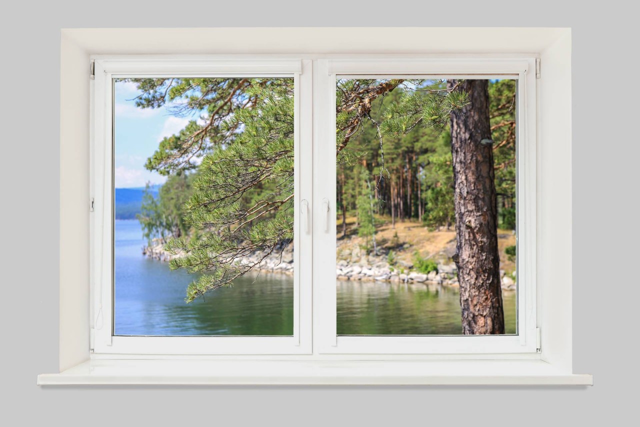 A window view of pine trees and coastline in Bainbridge Island, Washington (WA)